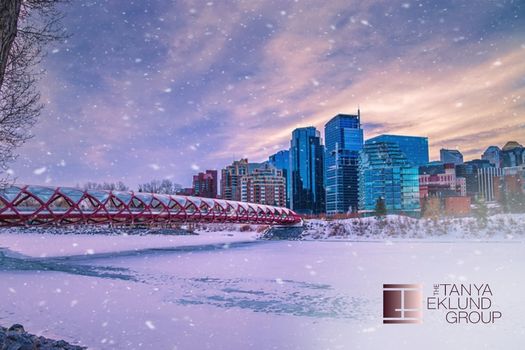 Inner-City Living Experience - Calgary Winter Fun