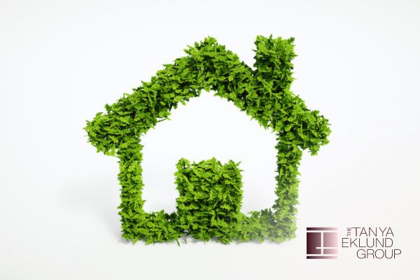 Sustainable Luxury: Eco-Friendly Features and Materials Luxury Home Buyers Are Looking For