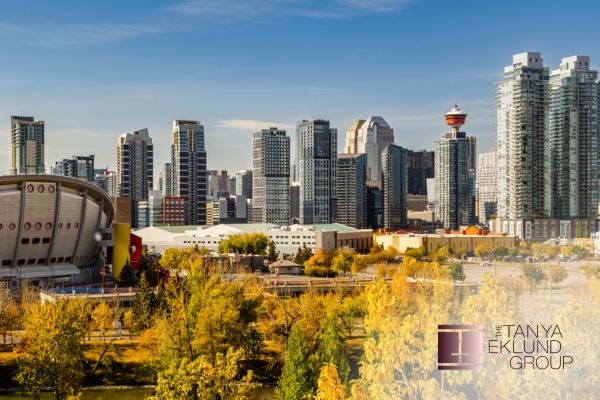 Discovering Altadore: Calgary's Premier Neighbourhood for Modern Living
