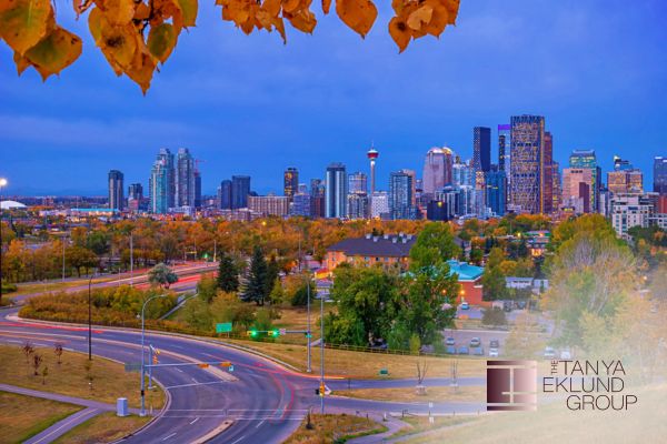 Britannia Realtor: 5 Reasons Why Britannia is Calgary's Most Coveted neighbourhood