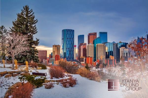 Britannia Realtor: Expert Guidance for Buying & Selling Homes in Calgary's Prestigious Neighbourhood 