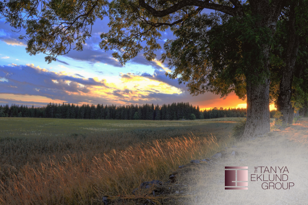 What You Need to Know Before Buying an Acreage Near Calgary 