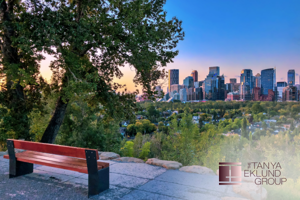 Moving Up in Mount Royal: Why It’s a Top Choice for Growing Families