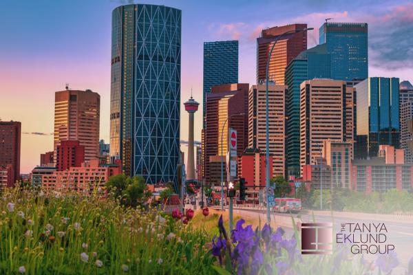 Where to Find the Best Inner-City Real Estate Deals In Calgary This Winter